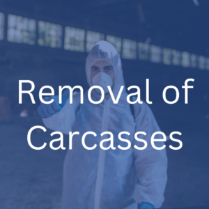 Removal of Carcasses