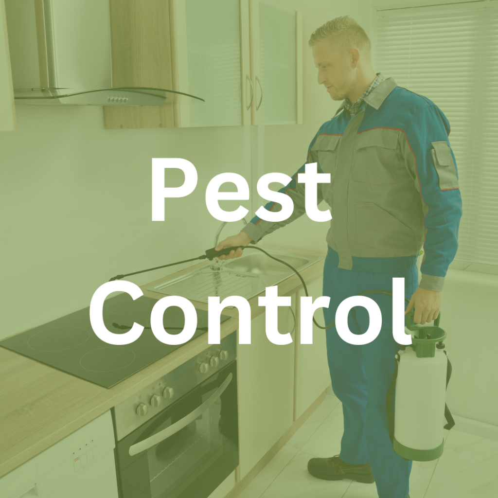 pest control services