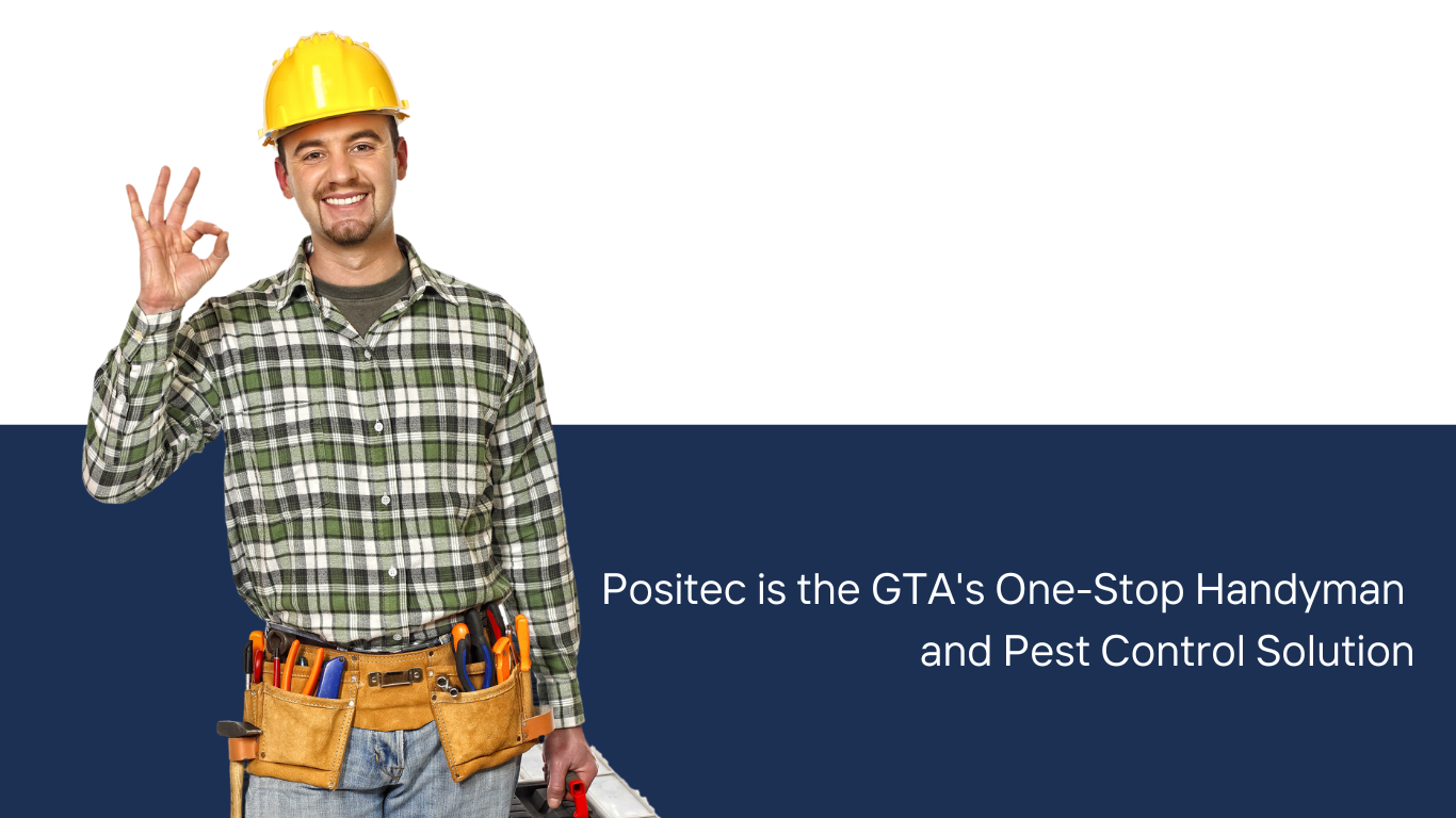 Positec handyman services